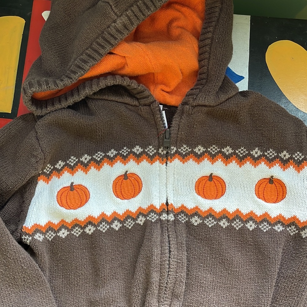 Gymboree Pumpkin Zip Hoodie